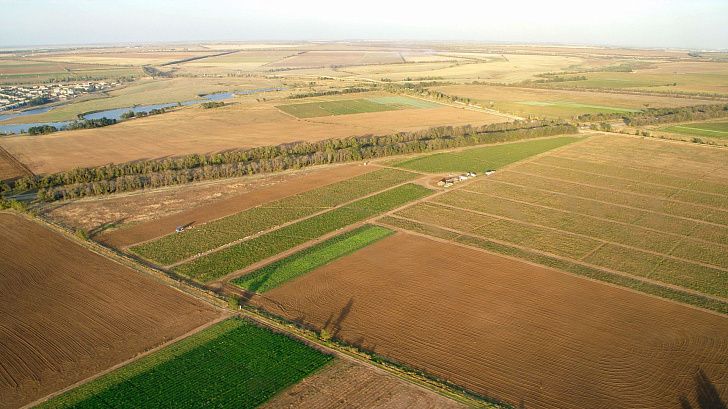 Волгоградская область может войти в федеральный проект по использованию агрокоптеров