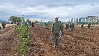 «Сохраним лес»: в Волгоградской области в рамках экологической акции высадили тысячу деревьев