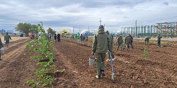 «Сохраним лес»: в Волгоградской области в рамках экологической акции высадили тысячу деревьев