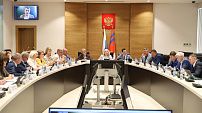 Облдума рассмотрела проект нового закона об обращении с животными 