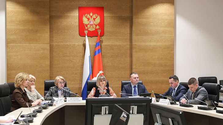 Парламентский комитет рассмотрел федеральный законопроект о поддержке многодетных родителей