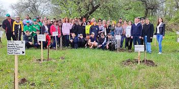 «Сад Памяти» в Волгоградской области стал рекордным