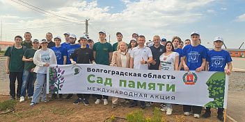 «Сад Памяти»: Экосовет высадил 300 саженцев сосны на территории оборонно-спортивного лагеря «Авангард»
