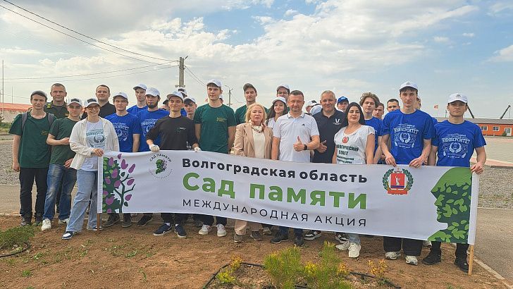 «Сад Памяти»: Экосовет высадил 300 саженцев сосны на территории оборонно-спортивного лагеря «Авангард»