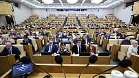 В Государственной Думе рассмотрели вопросы развития демографии