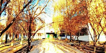 Поздравление Владимира Шкарина с Днем учителя