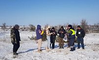 В Волгоградской области проходит зимний учет охотничьих  видов животных 