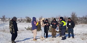 В Волгоградской области проходит зимний учет охотничьих  видов животных 