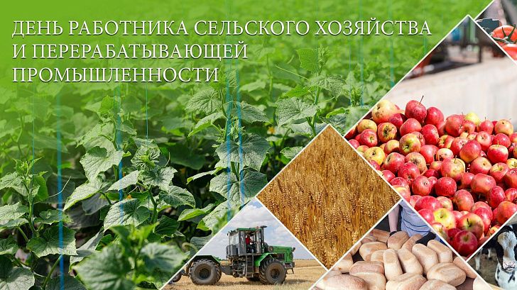 Поздравление председателя Волгоградской областной Думы  Александра Блошкина с Днем работника сельского хозяйства  и перерабатывающей промышленности