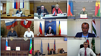 Законодатели Юга России обсудили вопросы совершенствования организации работы с бездомными животными