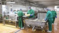 Волгоградская область укрепляет лидерство в переработке сельхозпродукции