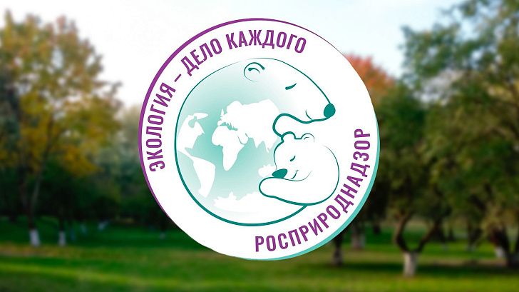 Волгоградцы смогут принять участие в конкурсе «Экология – дело каждого»