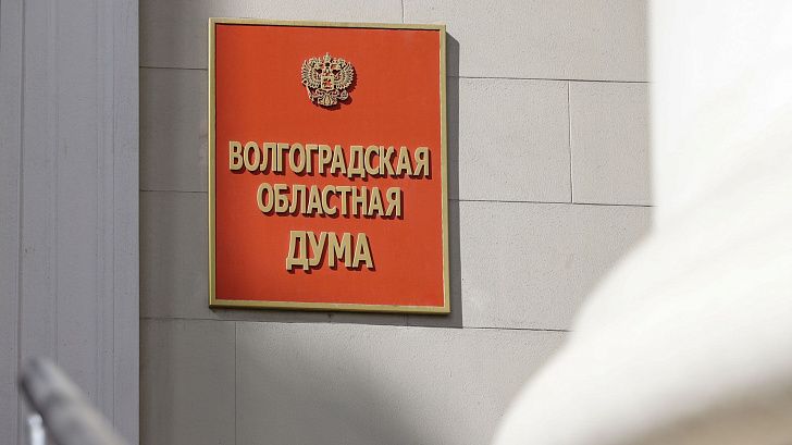 Волгоградская областная Дума рекомендовала кандидата для включения в новый состав Центризбиркома
