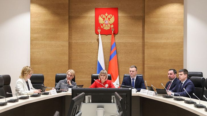 Профильный комитет облдумы поддержал федеральный законопроект о праве ребенка на воспитание в семье