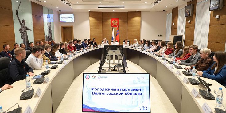 Стажеры проекта «Сталинградский призыв» обсудили вопросы развития молодежного парламентаризма 