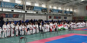 Турнир на Кубок Волжского по карате