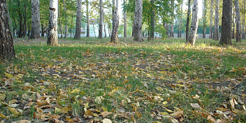 В Волгоградской области увеличивается объем финансирования природоохранных мероприятий