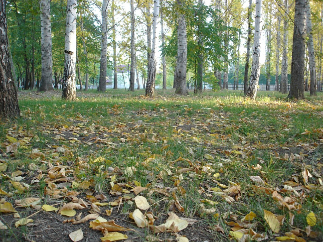 В Волгоградской области увеличивается объем финансирования природоохранных мероприятий