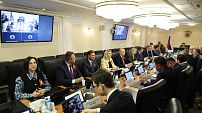 В Совфеде обсудили реализацию закона о госконтроле   
