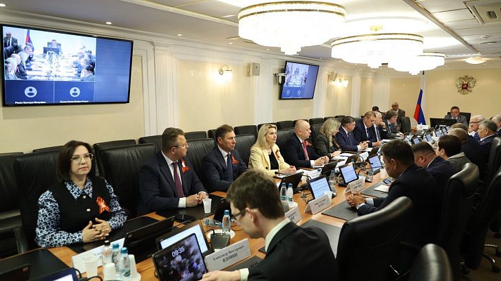В Совфеде обсудили реализацию закона о госконтроле   