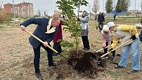 В парке Волжского прошла экологическая акция