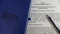 Утверждена единая концепция инвестиционной политики региона