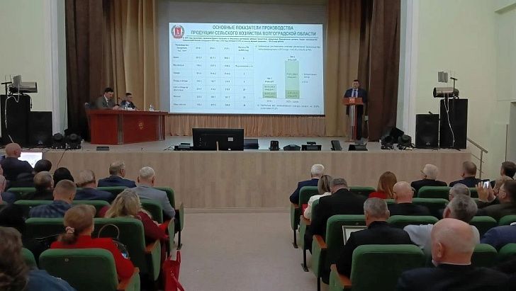 Волгоградские аграрии наращивают площади размещения кормовых культур