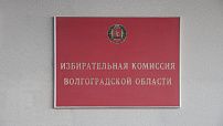Облдума утвердила новую кандидатуру в Избирательную комиссию региона