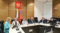 Парламентский комитет поддержал федеральные законопроекты о социальных гарантиях матерям-героиням