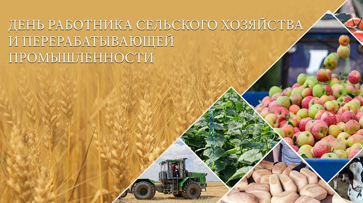 Поздравление председателя Волгоградской областной Думы Александра Блошкина с Днем работника сельского хозяйства и перерабатывающей промышленности