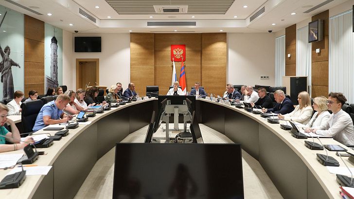 Предложено увеличить штрафы за правонарушения в сферах благоустройства, экологии и общественной безопасности