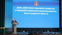 Порядка 410 млрд рублей – объем производства в АПК: Андрей Бочаров с аграриями подвел итоги сельхозгода