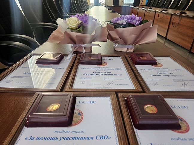 Волонтеры Волжского отмечены заслуженными наградами