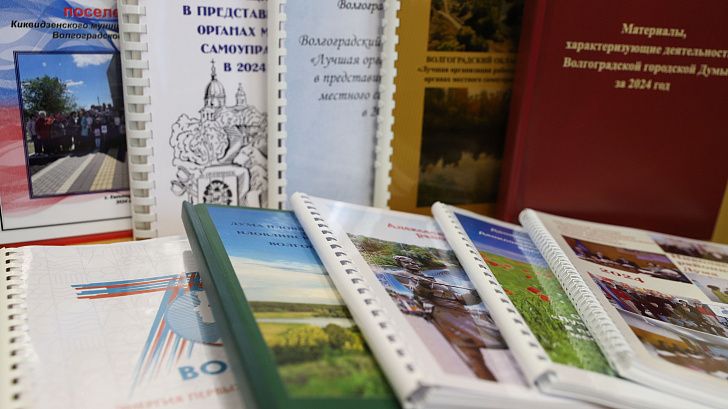 Названы победители и призеры регионального конкурса среди представительных органов власти