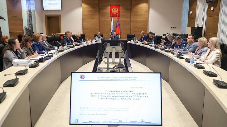 Корректировки областного бюджета на текущий год рассмотрел профильный комитет облдумы