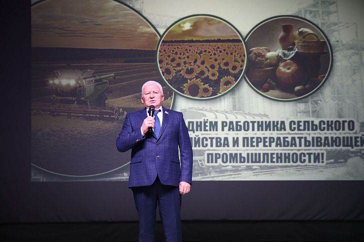День Ольховского района