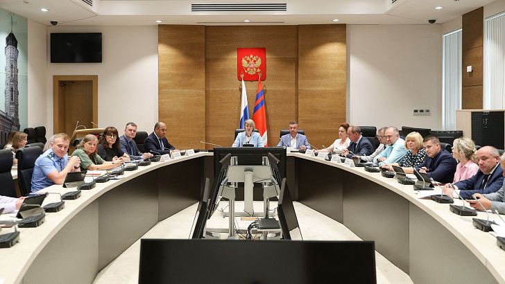 В областное избирательное законодательство предложено внести изменения