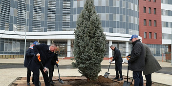 Андрей Бочаров и Сергей Горняков дали старт масштабному социально-экологическому проекту по высадке 50 тысяч деревьев