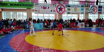 В Краснооктябрьском районе прошел турнир по самбо