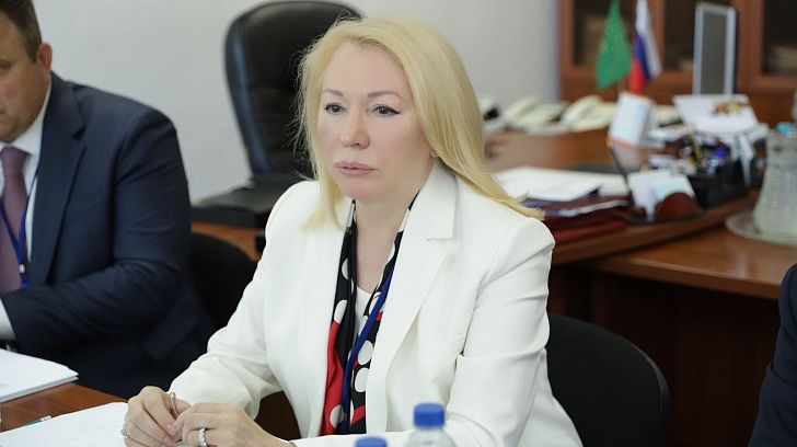 Ирина Соловьева приняла участие в работе профильного комитета ЮРПА