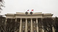 Регпарламент рассмотрел инициативу Госдумы о передаче субъектам РФ права самостоятельно определять порядок работы по обращению с животными без владельцев 
