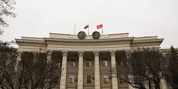 Регпарламент рассмотрел инициативу Госдумы о передаче субъектам РФ права самостоятельно определять порядок работы по обращению с животными без владельцев 