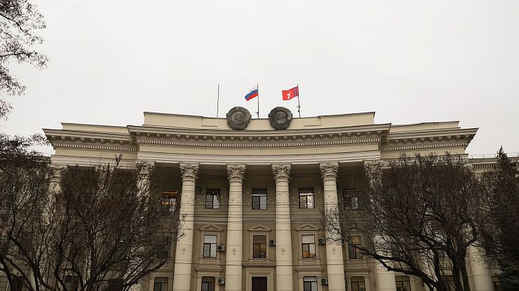 Регпарламент рассмотрел инициативу Госдумы о передаче субъектам РФ права самостоятельно определять порядок работы по обращению с животными без владельцев 